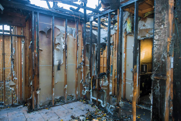 Professional Fire Damage Repair technician working in Trezevant, TN